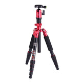 FotoPro X4i-E 5-Section Aluminum Tripod with FPH-42Q Ball Head